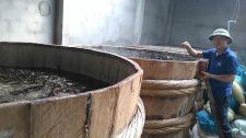 KẾT QUẢ THÍ NGHIỆM LÔ HÀNG MỚI CỦA MẮM LÊ GIA