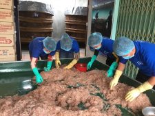 Mắm tôm – mắm tép muốn ngon phải làm từ nguyên liệu ra sao?