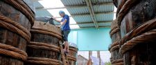SỰ VẤT VẢ CỦA NHÀ THÙNG ĐỂ CÓ ĐƯỢC CÁ CƠM TƯƠI NGON LÀM MẮM