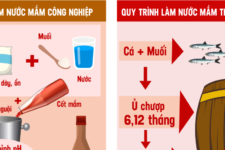 QUY TRÌNH LÀM NƯỚC MẮM TRUYỀN THỐNG & NƯỚC MẮM CÔNG NGHIỆP