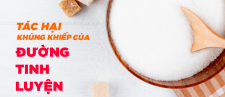 TÁC HẠI KHỦNG KHIẾP CỦA ĐƯỜNG TINH LUYỆN