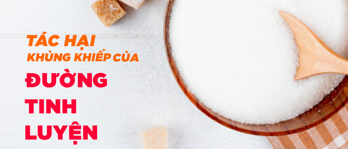 TÁC HẠI KHỦNG KHIẾP CỦA ĐƯỜNG TINH LUYỆN