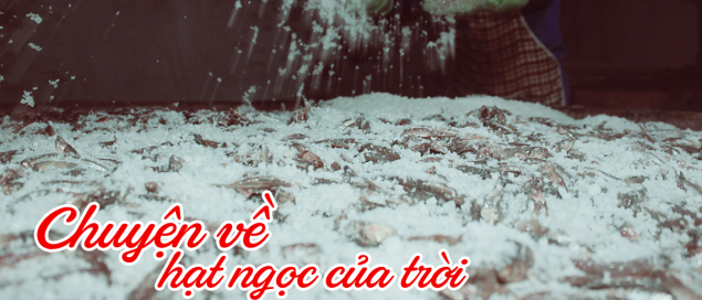 CHUYỆN VỀ MUỐI – CHUYỆN VỀ HẠT NGỌC CỦA TRỜI