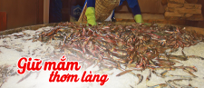  GIỮ MẮM THƠM LÀNG