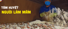 TÂM HUYẾT CỦA NGƯỜI LÀM MẮM