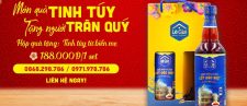 QUÀ TẾT TINH TÚY – TẶNG NGƯỜI TRÂN QUÝ