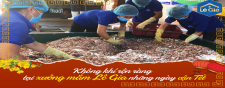 KHÔNG KHÍ RỘN RÀNG TẠI XƯỞNG MẮM LÊ GIA NHỮNG NGÀY CẬN TẾT