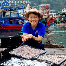 CỐT CÁCH MẮM KHÔNG LẮM CHIÊU – CHỈ LÀ CÁ BIỂN MUỐI VÀO THẤM RA