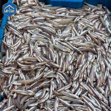 MÓN QUÀ TỪ BIỂN MẸ – LÒNG BIẾT ƠN TỪ LÊ GIA