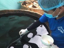 TÌM HIỂU VỀ VỊ NGỌT CỦA NƯỚC MẮM TRUYỀN THỐNG.