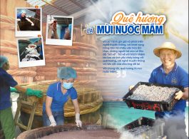 aio_gallery_image_aio-widget-aio_gallery_image-1-template