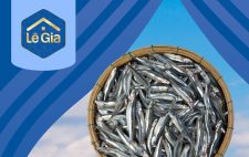 TỪ CÁ CƠM TƯƠI NGON – GIA VỊ NÊM VẸN TRÒN