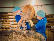 Lối đi mới để gìn giữ làng nghề 200 năm tuổi của thương hiệu nước mắm Thanh Hóa