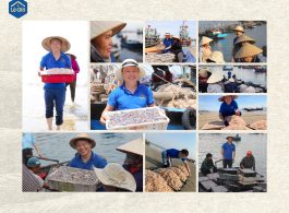 aio_gallery_image_aio-widget-aio_gallery_image-1-template