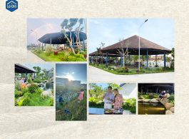 aio_gallery_image_aio-widget-aio_gallery_image-1-template