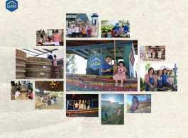 aio_gallery_image_aio-widget-aio_gallery_image-1-template