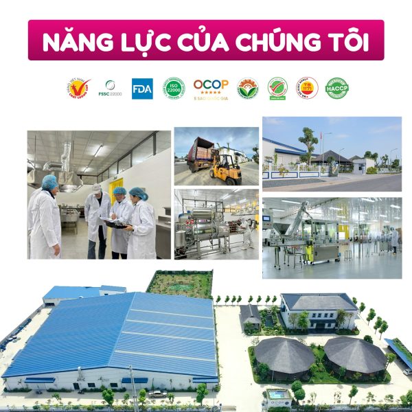 BỘT NÊM TẢO BẸ KOMBU3