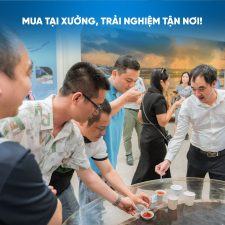 Đi Hải Tiến mua nước mắm ở đâu? Gợi ý địa điểm không thể bỏ lỡ khi đến biển Hải Tiến