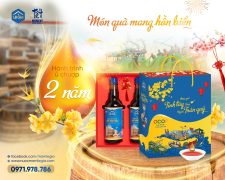 Quà Tết tặng bố mẹ vợ – Chọn sao cho tinh tế và đủ đầy tình cảm?